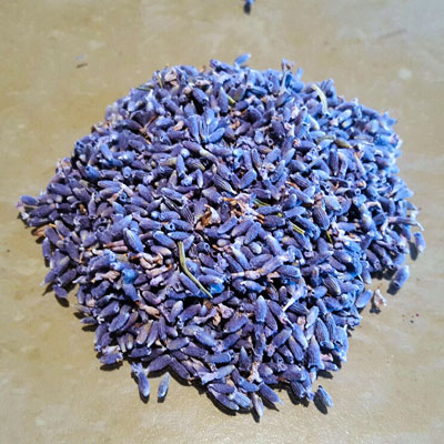 Lavender flower buds dried, stripped -L.angustifolia (Dark blue) - $15 per 100g, $90 per kg