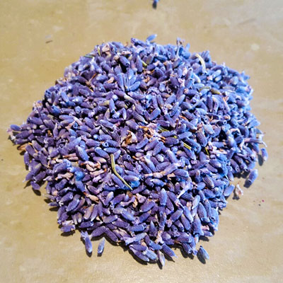 Lavender-dried-stripped-Eg