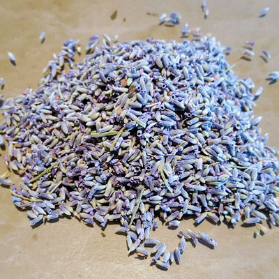 Lavender-dried-stripped-Lavandin20160602_125434_resized
