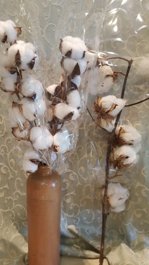 Cotton flowers available on natural stems or handcrafted onto wired stems.