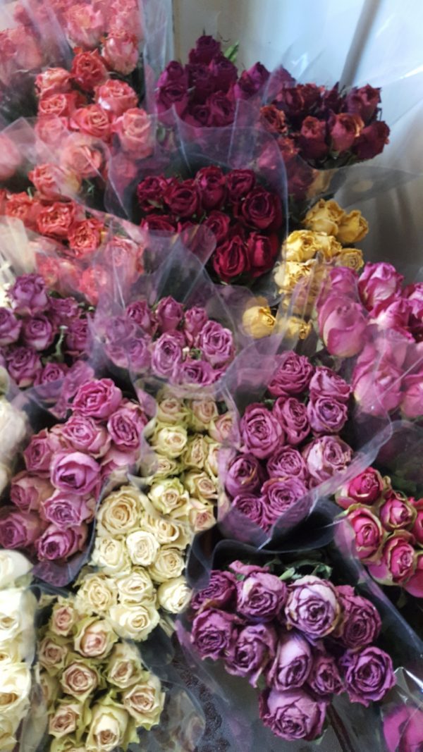 Dried Roses