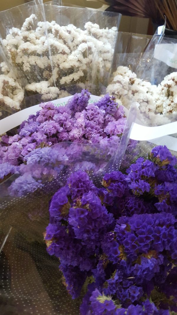 Statice available dried in white, mauve, dark blue.