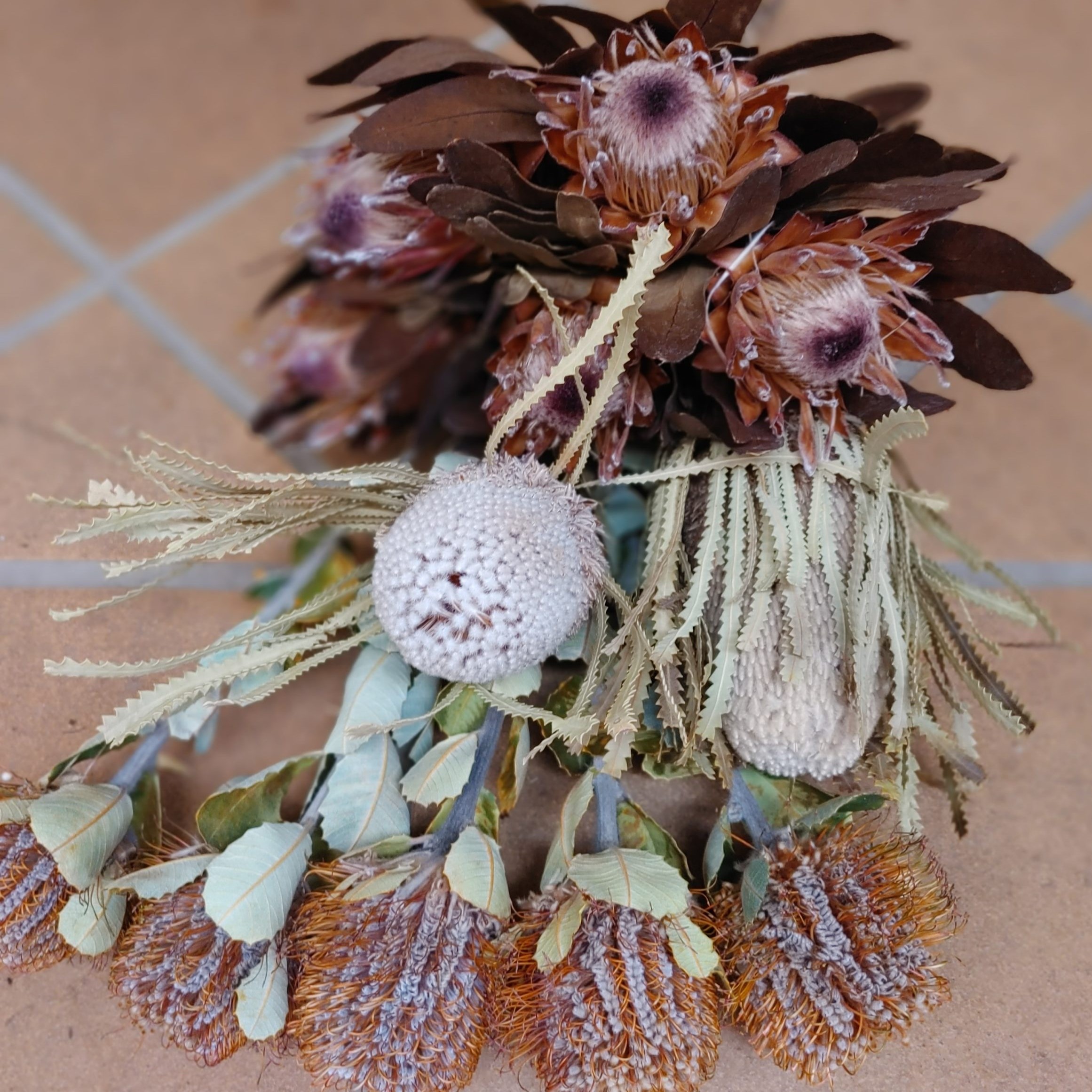 Banksias-and-proteas