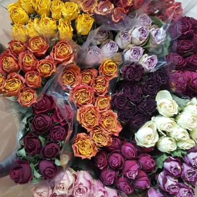 Roses (10 stems) From $15
