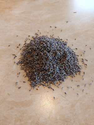 Lavandin dried flowerbuds 2025