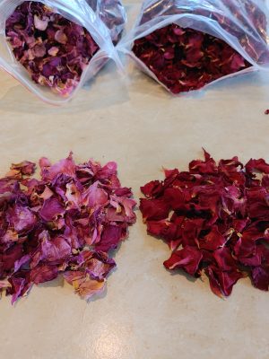 Rose petals single colour